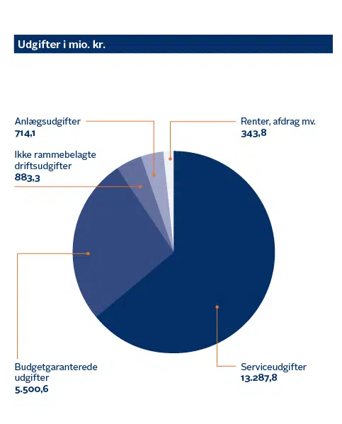 Anlægsudgifter 714,1. Ikke rammebelagte driftsudgifter 883,3. Budgetgaranterede udgifter 5.500,6. Serviceudgifter 13.287,8. Renter, afdrag mv. 343,8