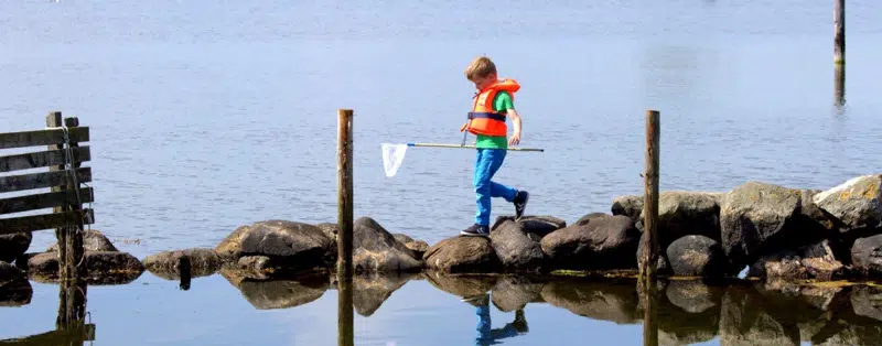 Dreng på vej ud af molen for at fiske