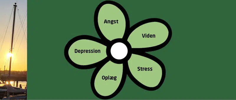 Angst, viden, stress, oplæg, depression