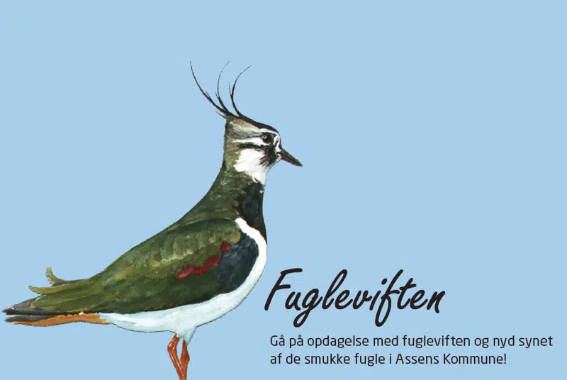 Forside - Fugleviften