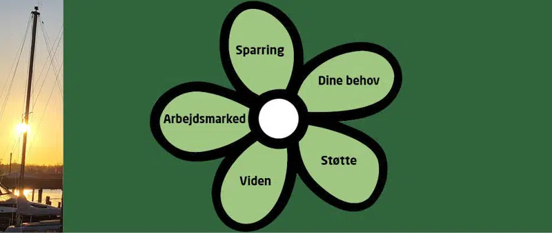 Sparring - Dine behov - Støtte - Viden - Arbejdsmarked