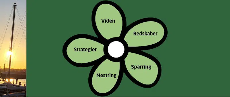 Viden, redskaber, sparring, mestring, strategi