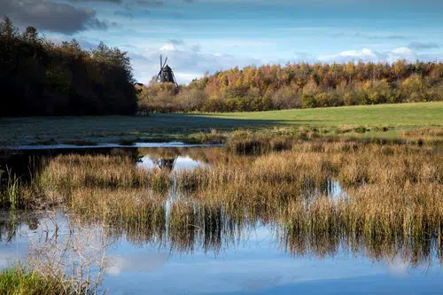 Flot landskab med blå himmel, en sø i forgrunden og en mark i baggrunden