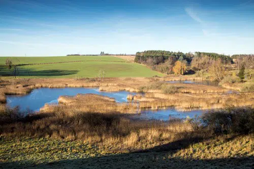 Brøns mose i solskinsvejr