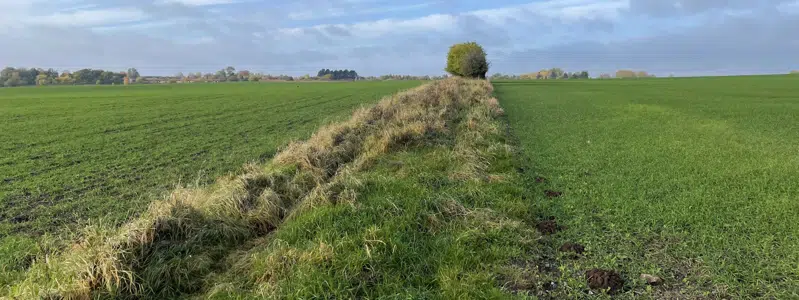 Foto af det grønne landskab, hvor den nye bydel bygges