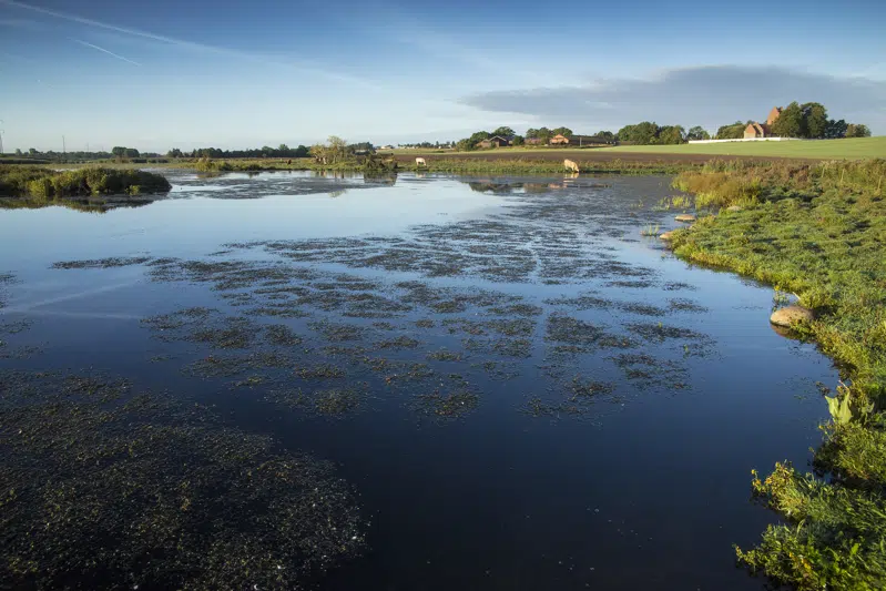Udsigt over Skenkelsø og Hagerup Sø set fra cykelstien