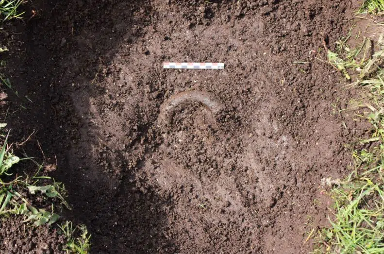 Frem af jorden dukkede blandt andet en række vulstringe som denne. Vulstringe er en betegnelse for store, voluminøse ankelringe, der er som skabt til at imponere. Ringene er lavet af bronze og hule inden i. Umiddelbart er der fragmenter efter 2-3 vulstringe. Foto. Katrine Ipsen Kjær, ROMU.