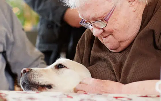 Ældre kvinde med hund