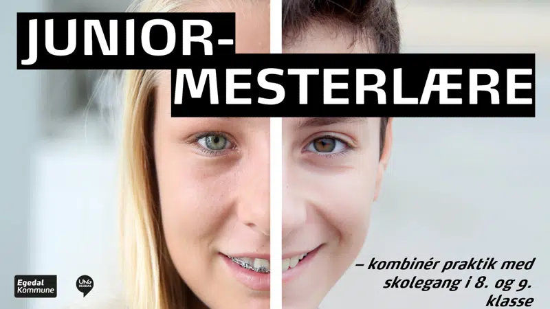 Juniormesterlære - grafik