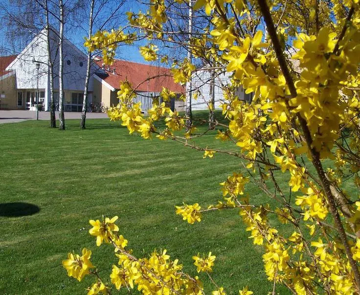 Foto af Mergeltoften en forårsdag 