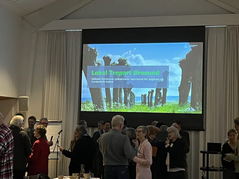 Den grønne trepart - møde 