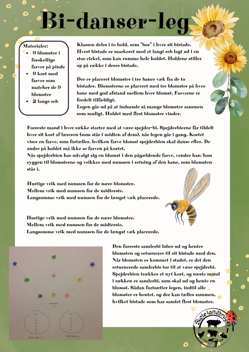 Foto af Bi-danser-leg