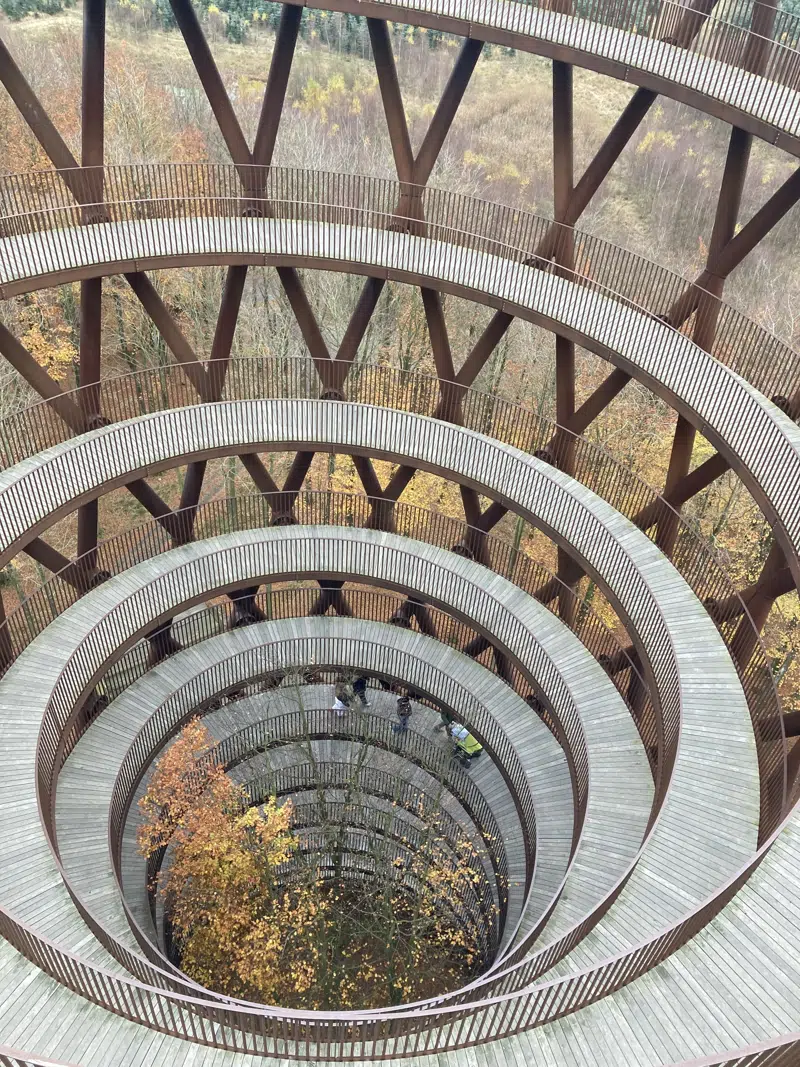 Udsigt fra Skovtårnet