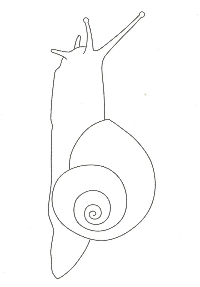 Gem og farlæg sneglen selv