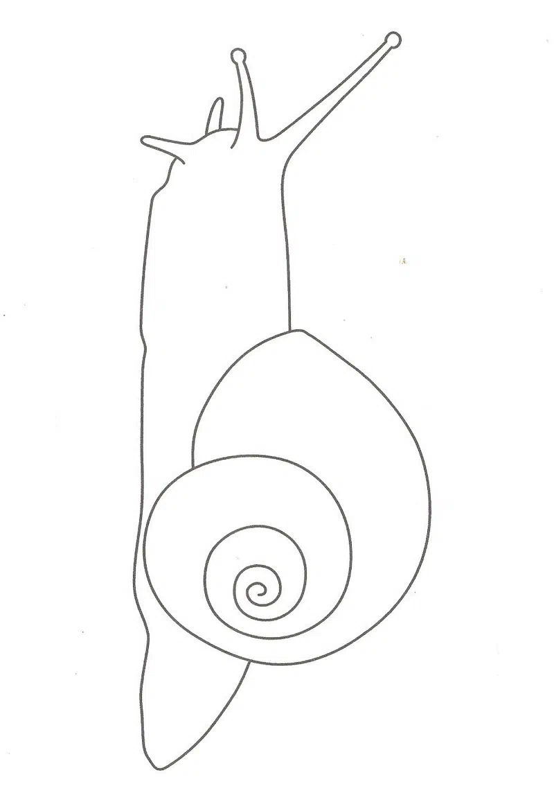 Gem og farlæg sneglen selv