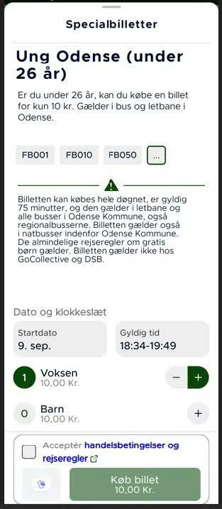 Ung Odense i Rejsebillet
