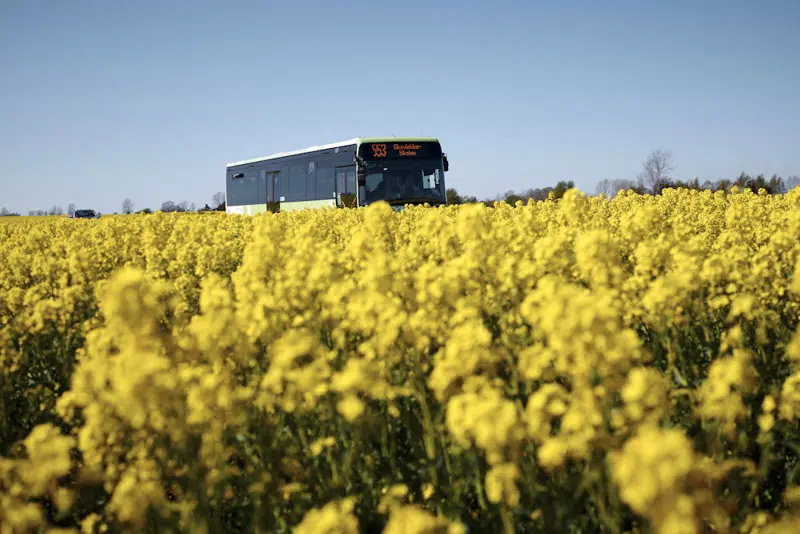 Bus i rapsmark