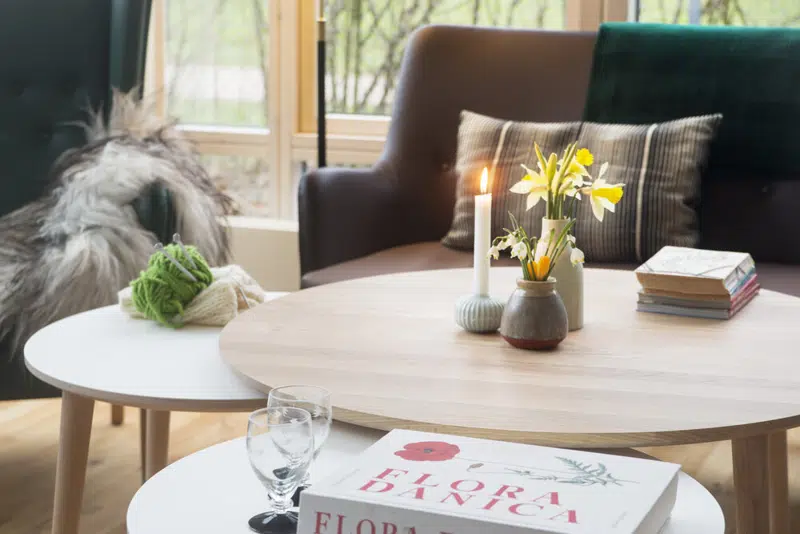 Billede af hjemlig indretning