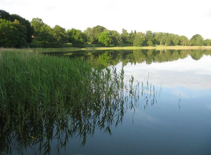 Bagsværd Sø ved Radiomarken