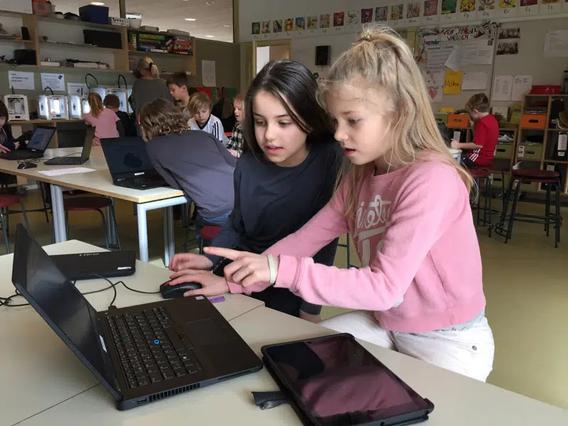 Skoleklasse - børn arbejder ved pc