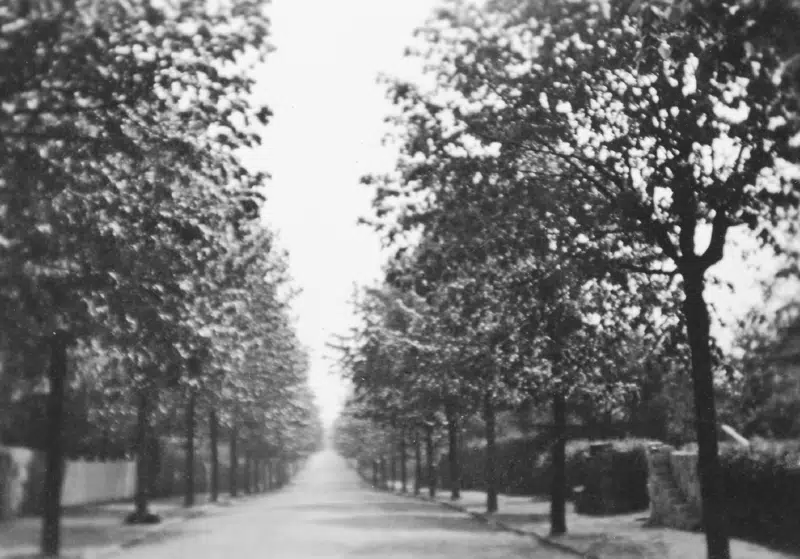 Kildebakkegårds Alle cirka 1915