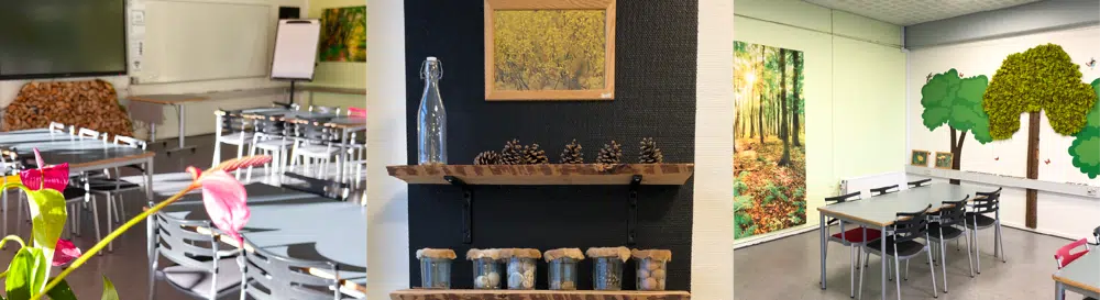 Lokale 4 er indrettet i et naturtema med 5 mødeborde