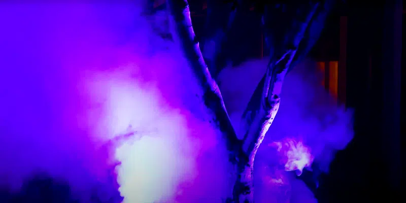 Lilla røg fra en røgmaskine omkranser et træ på en af udstillingerne