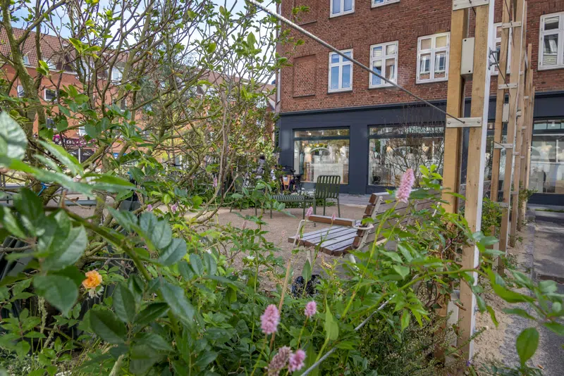 Nyt grønt opholdsrum med planter, blomster, espalier og bænke