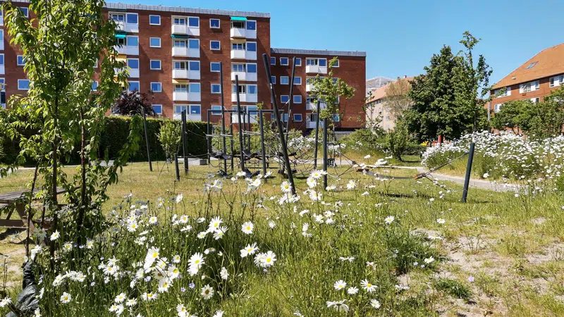 Legeplads for større børn med kæmpegynger, klatreredskaber og hængekøjer