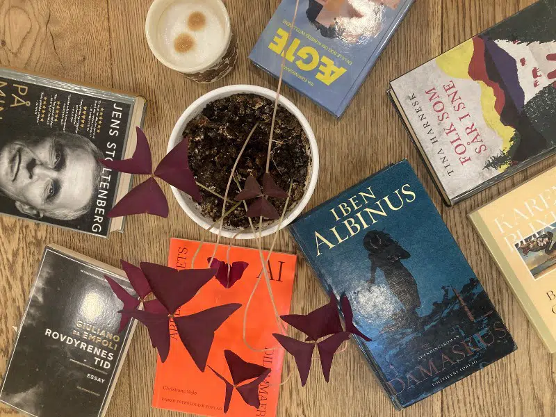 Et bord set fra oven med forskellige bøger på