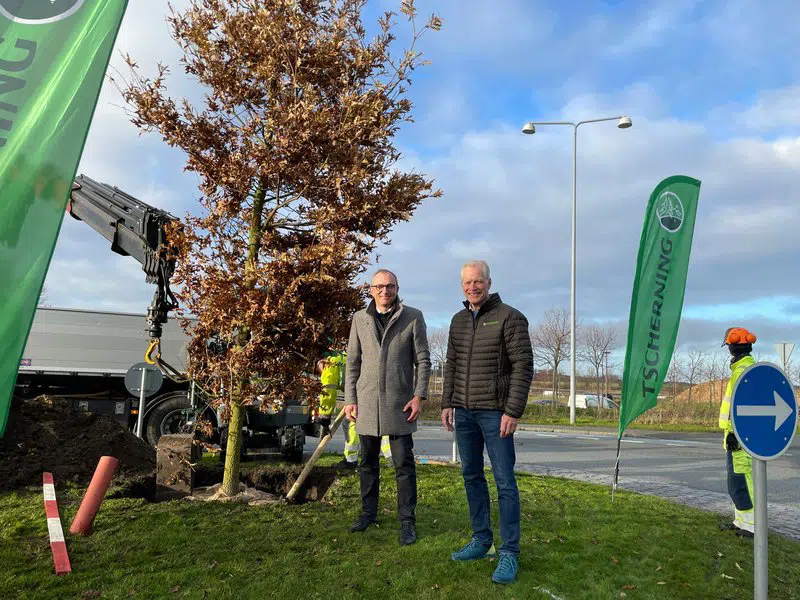 Borgmester Michael Ziegler og adm. direktør Søren Tscherning står ved det nyplantede træ.