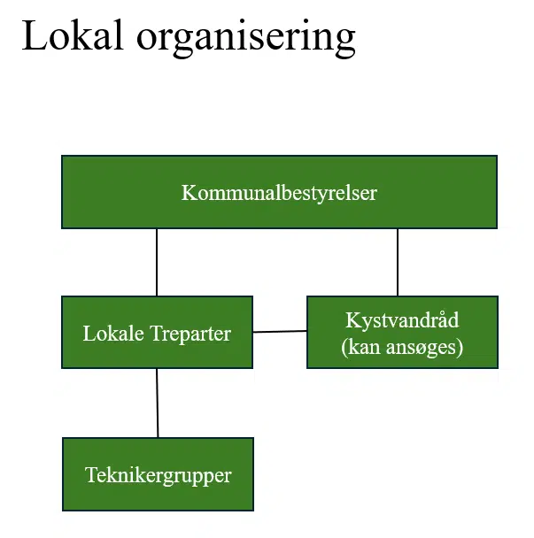 Oversigt over den lokale organisering