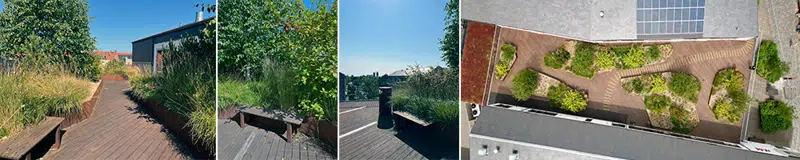 Billeder fra legepladsen maj/juni 2025