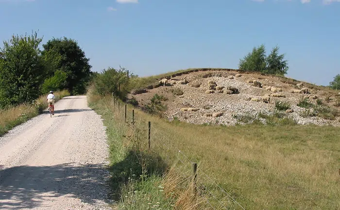 Cyklist på grussti ved Regnemark Banke