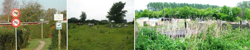 Billeder fra kolonihaven