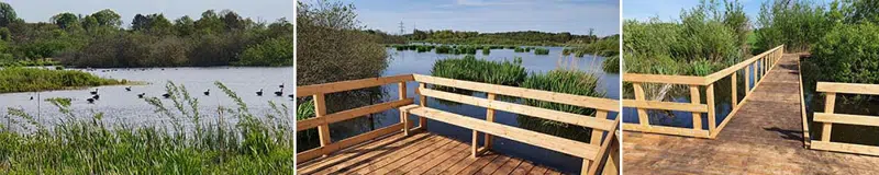 Stemningsbilleder fra gangbroen: gangroen, platformen med bænk og udsigt over mosen med dens fugleliv