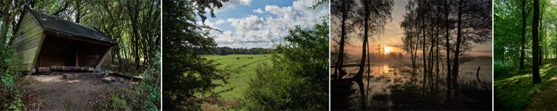 Stemningsbilleder fra lejrpladsen og området omkring: shelter, udsigt over  mosen med græssende heste og solnedgang