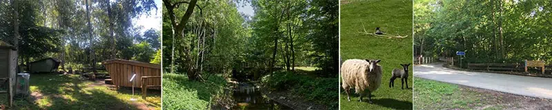 Stemningsbilleder fra og omkring Spanagerlejrplads: shelterpladsen, Køge Å, får og indgangen til pladsen