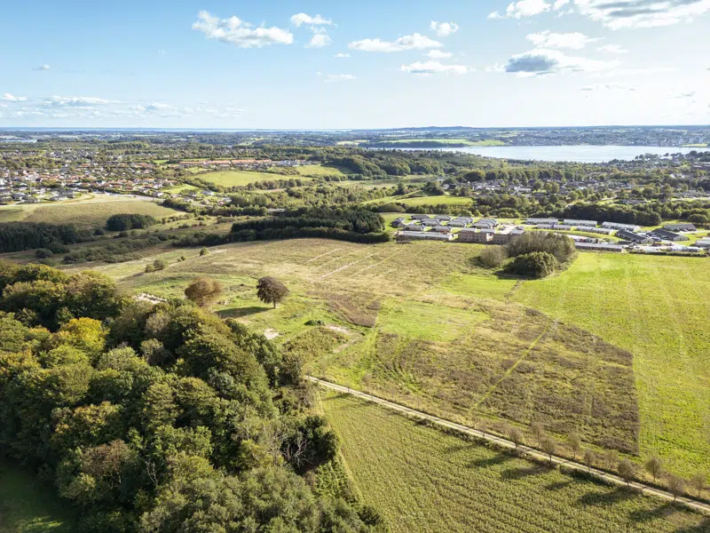 Birkemosevej i Nr. Bjert