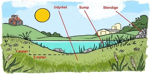 Det er oplagt at lave vandhullet i en fugtig lavning f.eks. på en dyrket mark. Det må ikke anlægges i beskyttet natur. Vi anbefaler at der skal være en dyrkningsfri bræmme på omkring 10 meter omkring vandhullet. 1 meter dyb og radius på 5 meter.