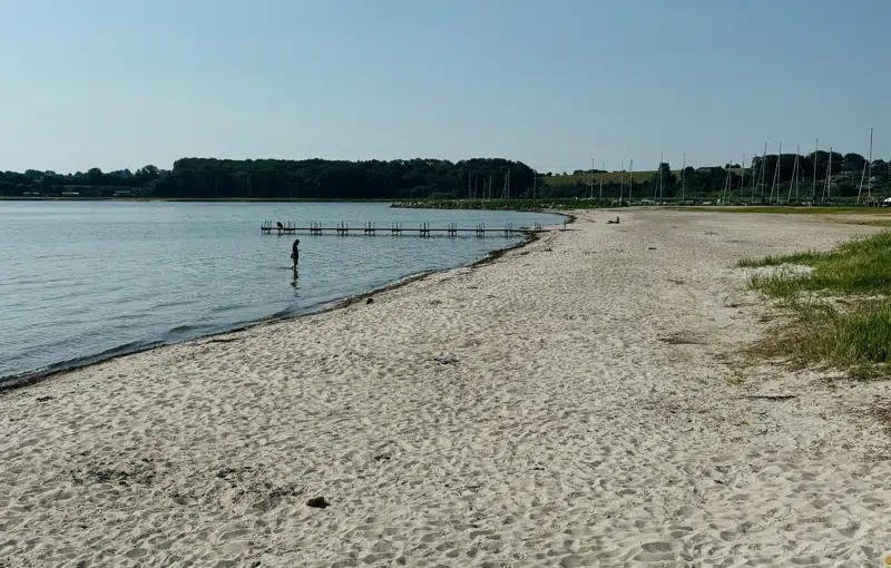 Stranden ved Hejlsminde med bådebro og skovklædt kyststrækning i baggrunden