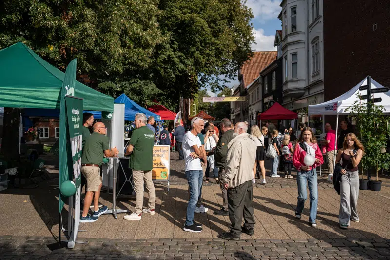 Politiske partier i Torvegade