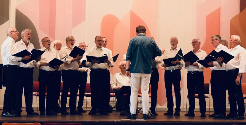 billede af medlemmerne af Kolding Mandskor