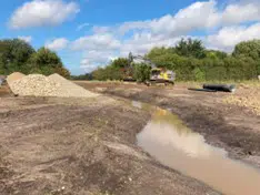 Kurkmose etablering af vårområde