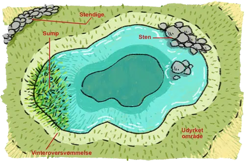 Stendige på land og i vandet. Vandhullet ligger i et udyrket område. Der er plads til vinteroversvømmelse.