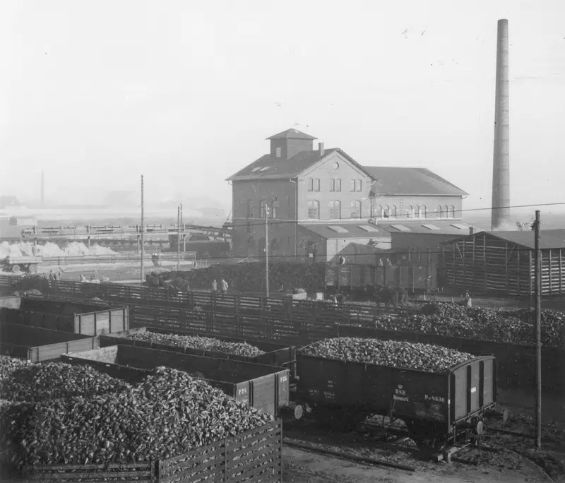 Togvognen læsset med roer ved saftstationen