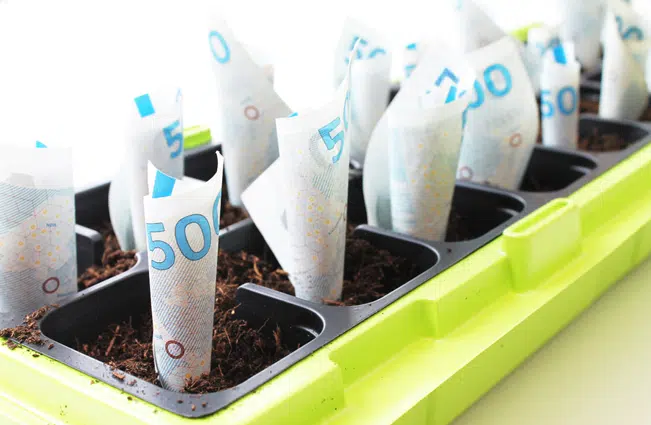 Billede af 500-kroner sedler som gror