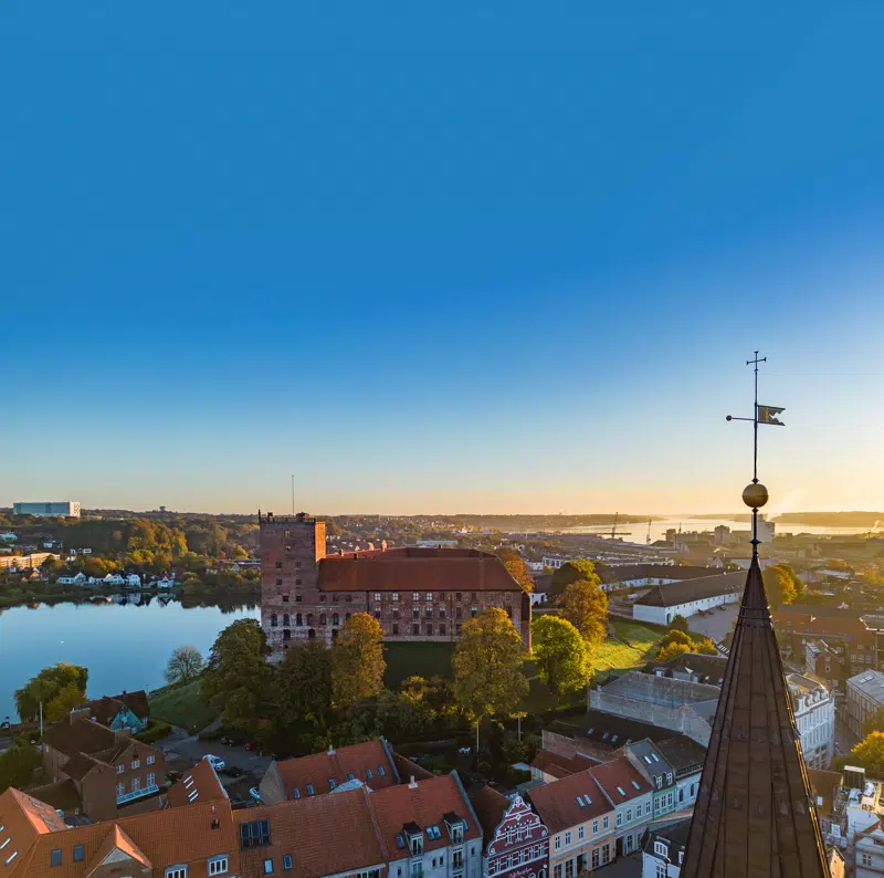 Vue over Kolding med Koldinghus i midten