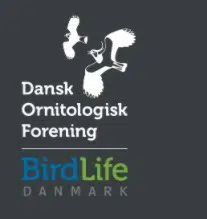 Logo Dansk Ornitologisk Forening (Bird Life Danmark)
