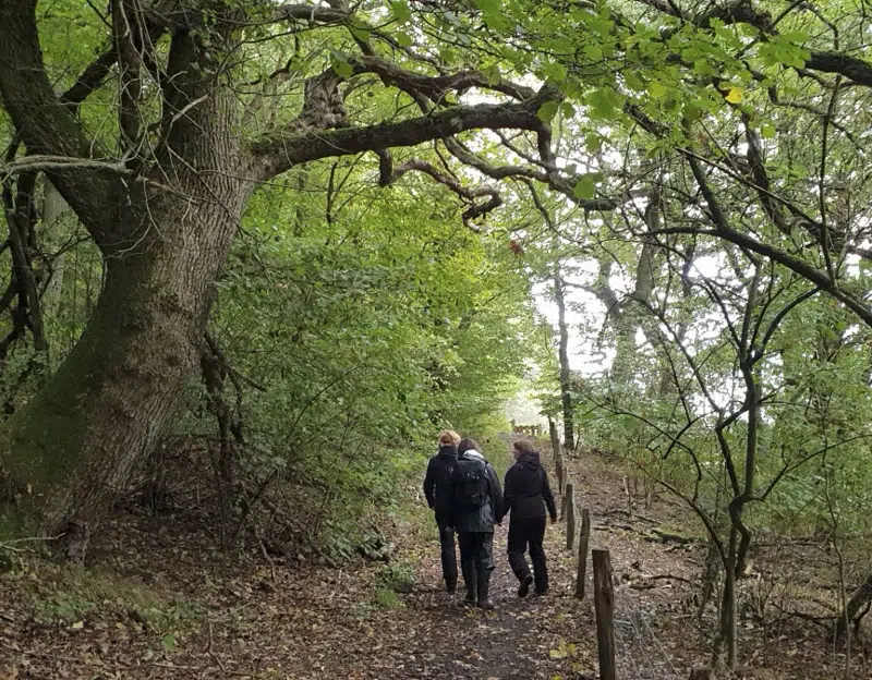 vandretur i Hylkedalen